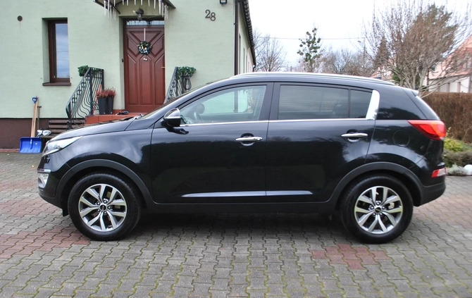 Kia Sportage cena 59999 przebieg: 120000, rok produkcji 2014 z Pieńsk małe 781